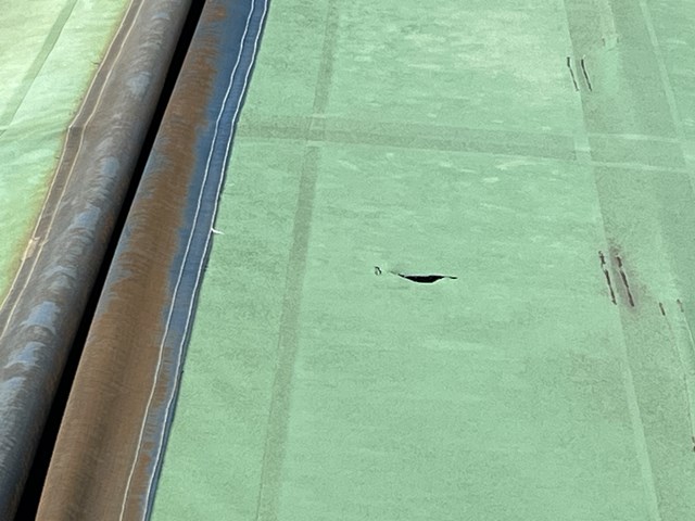 0115.jpg
