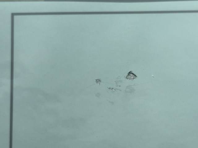 0130.jpg