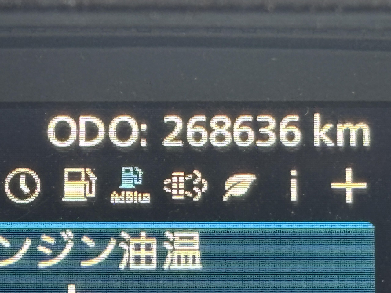 0126s.jpg
