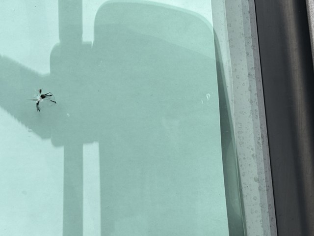 0129.jpg